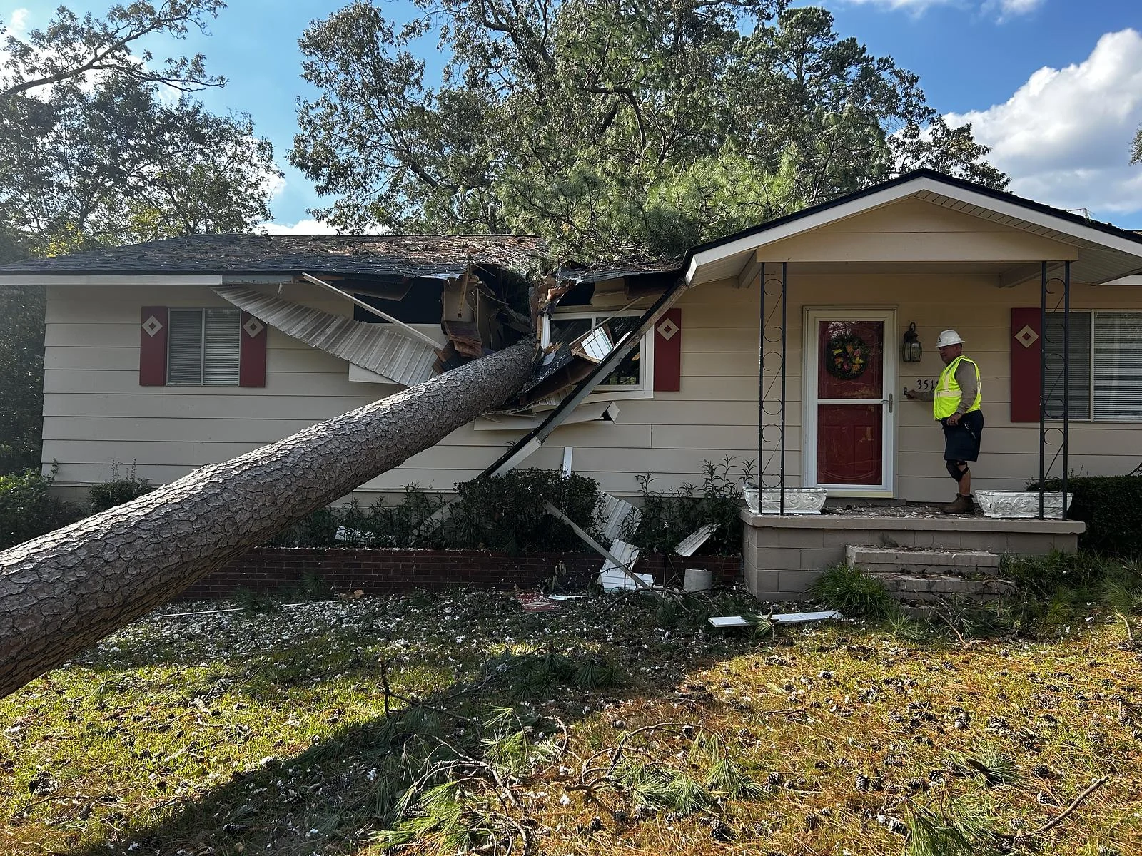 tree fell into home